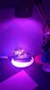 Led Plant Grow Light 5W E27 Lampe Rot/Blau für Indoor Flower Hydroponics System