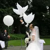 Ślubny hel Nadmuchiwany Biodegradowalny Biały Gołąb Balony na Wesele Dekoracje Dekoracji Wojennych W Kształcie Bio Balony WA2539