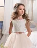 Lovely Flower Girl Dresses for Wedding Blush Pink Princess Tutu Sequined Appliqued Lace Bow Vintage Child First Communion Dress5719548