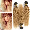 Virgem Malaio Loira Morango Ombre Feixes de Cabelo Humano Ofertas 3 Pcs Kinky Curly 1B / 27 Mel Loira Ombre Cabelo Virgem Tece Extensões