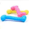 resistant To Bite Bone Dog Puppy Molars Rubber Ball Play For Teeth Training Thermal Plastic Rubber TPR Pet Dog squeaky squeezed Toys