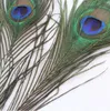 Elegante decoratieve materialen Real Natural Peacock Feather Mooie veren Ongeveer 25 tot 30 cm Gratis verzending