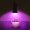 E27 220V Planta LED SMD2835 Grow Light Full Spectrum Red+Blue LED Grow Lamp para hidroponia Flores Plantas Legumes