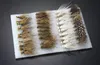 Extérieur 40 pièces Elk Wing Caddis mouches sèches truite mouche leurres de pêche poisson leurre haute qualité accessoires de pêche fournitures avec crochet 255S1305342