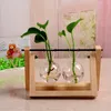 Nuevas flores Florero Planta Florero de vidrio transparente con marco de madera para mesa Planta Decoración para el hogar Sala de estar Decoración 9 estilos