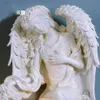 Европейская смола крылья ангель