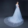 New Arrvial Plus Size Wedding Dress Light Blue Flowers Pearls Sequins Vestido De Novia Sweetheart Bridal Gowns DH4154