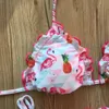 Yeni Flamingo ve Ananas Baskılı Brezilyalı Bikini Örgülü Halat 2021 Seksi Kadın Mayolar Push Up Bikini Set Bandaj Mayo