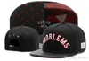 Brand new Cayler & Sons snapback baseball caps hip hop cotton casquette bone gorras hats for men women1849