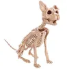 Moquerry Skeleton Dog Puppy Cat Kitty Animal Bones for Horror Halloween Party Bar Home Decor Decoration Accessories Decoration