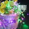 12V Copper String Lights 10m 20m Led Fairy Light with Power Adapter for Wedding Party Christmas Home Decoration