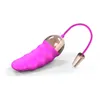 Vibrierende Ei USB wiederaufladbare drahtlose Fernbedienung Kontrolle Jump Egitoris Stimulation Vibrator Sexspielzeug Erwachsener Produkt für Frauen6529264