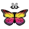 10 Stijl Regenboog Monarch Butterfly Kostuums Mooie Full-Color Chiffon Butterfly Wings + Mask + Hoofdband Cosplay Cape Party Gunsten