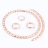 Nigerian Wedding African Beads Zinc Alloy Jewelry Sets Dubai Gold Plated/ Silver Jewelry Sets Necklace Bracelet Earrings Ring Sets