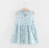 2018新しい夏の赤ちゃんガールズドレスOネック刺繍花ノースリーブベストドレス素敵な幼児服子供チュチュドレス