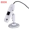 800 / 1000x 8 LED USB 2.0 Microscopio digitale Endoscopio Digital Strumenti per l'endoscopio 2MP Microscopio elettrico Magnifier Zoom Telecamera + supporto Staffa