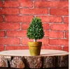 أعلى مصغرة ديكور النباتات الاصطناعية المزخرف نبات بوعاء لغرفة المعيشة الرئيسية مكتب الجملة والتجزئة