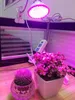 60 126 200 Led Grow Light bulb 360 Flexible Lamp Holder Clip for Plant Flower vegetable Growing Indoor greenhouse hydroponics D2.0
