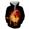 Aslan Baskılı Hoodie Erkekler 3d Hoodies Sonbahar Bahar Ince Tişörtü Çocuk Ceketler Kaliteli Kazak Unisex Kadın Hayvan Streetwear Out Coat