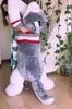 Pop Jumbo Animal Husky Plush Toy Giant Stuffed Cartoon Dog Doll Sovande Kudde för Flickvän presentdekoration 150cm 170cm 190cm dy50439