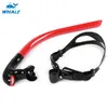 New Arrival Whale Diving Swimming Tube Center Snorkel With PC TPR Multi Color Special tube Dving Mask Snorkel 4 Colors83557421462425