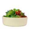 Muzhi 6,6 tums växtfiber runda succulent kaktusplanter krukor, modern design Dekorativ trädgård Succulent container 10pcs moq