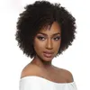 Hot Charming Women's Brasilian Hair Short Afro Kinky Curly Wig Simulation Human Hair Short Curly Wig I lager