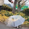Portable Dog Umbrellas Wth Collars Long Comfort Handle Transparent PE Umbrellas Eco Friendly Pet Raincoat For Small Pets 9 2jn ZZ