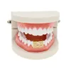 Hip Hop Double Teeth Grillz Iced Out CZ Kupfer Gold Silber Farbe plattiert Nummer 23 Top Tooth Dental Grills