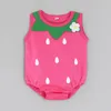 Summer Baby Cartoon Watermelon Fruits Animal Shape Triangle Briefs Rompers Infant's Even Clothes Children's Jumpsuits Thin 3pcs a lot