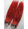 Red Micro loop human hair extensions 200G Micro Link Hair Extensions Human 200g kinky curly micro loop hair extensions