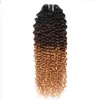 Brazilian Human Virgin Hair Weft Ombre 1b/4/27 Brown Blonde Kinky Curly Weaves Double Drawn 100g One Bundle