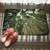 Tapis de bain imprimé forêt Dense grand arbre, tapis de sol pour chambre à coucher, salle de bain, douche, paillasson antidérapant, tapis de toilette de cuisine, 7768311