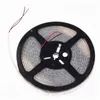 100 M / Parts Waterdichte SMD 5050 RGB Double Row LED Strip Flexibele Licht DC12V 5M 600LEDS Siliconen Buis voor zwembad