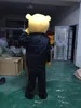 2018 Costume de mascotte de costume de dessin animé d'ours chaud de haute qualité, Costumes de personnage d'ours Vêtements Taille adulte
