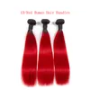 Deux Tons 1B/Violet Droite Armure de Cheveux Humains 3/4 Bundles En Gros Coloré Brésilien Ombre Vierge Extension de Cheveux Humains Offres