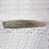 100g Braziliaanse Kinky Krullend Weven 1 st zilvergrijs haar weave 1026 inch Braziliaanse Haar Weave Bundels Niet Remy Menselijk Haar 3363585