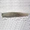 100g Brasiliansk Kinky Curly Weaving 1 PC Silver Grå Hårväv 10-26inch Brasilianska Hårväv Buntar Non Remy Human Hair Fri frakt