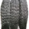 Extensions de cheveux Yaki Micro boucle grossière 300g Extensions de cheveux crépus droites Micro boucle anneau 300s Extensions de cheveux Yaki Micro perle