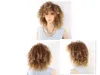 Short Blonde And Brown Afro Kinky Curly Wig Fluffy Wigs for American Women Synthetic Hair High Temperature cosplay4722932