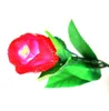 Светящиеся волшебные реквизиты Светлые розы Подарок на День Святого Валентина Опора Магия Детские игрушки