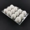 12 Holes 193*147*63mm Eggs Container Plastic Clear Egg Packing Storage Boxes Wholesale Fedex DHL Free Shipping Wholesale
