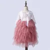 2018 Mädchen Spitze Bogen Kleider Baby Mädchen Prinzessin Langarm Kleid Babys Tüll Hochzeit Kleid Kinder Weihnachten Kleidung