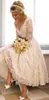 Vintage Lace Short Wedding Dresses Vestido De Novia 2019 New Bow Sash V-Neck A-Line 3 4 Long Sleeve Tea Length Bridal Gowns W184236S