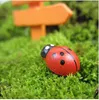 100pcs/lot Miniature Garden Ladybug Fairy Figurine Miniature Garden Ornament Dollhouse Decoration For Moss Micro Landscape