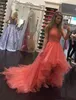 2018 Nya Coral Prom Klänningar Elegant Halter Ärmlös Aftonklänningar Tillbaka Zipper Hi-Lo Tiered Custom Made Party Dress With Lace Applique