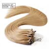 Super jakość 16 '' 18 "20" 22 "24" # 1 # 2 # 4 # 27 # 24 # 1B # 613 rozszerzenia Indian Virgin Loop Loop Micro Ring Hair 1g Strand, Set 100g
