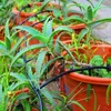DIY Gartengarten Blumenkernpflanze Automatische Bewässerungswerkzeuge Bewässerung Tropfgerät Gartenwasser kann Hausbewässerungskit Set Set