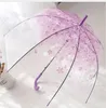 Imprimé de fleurs Enfants à longueur longue durée Clear parapluie femme mode Sun Parasol 8k dames Automatique Transparent Rain Umbrella YJ003
