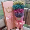 Bouquet di stelle in stile coreano, confezione regalo di fiori secchi, bouquet di nontiscordardime per San Valentino, fidanzate, regalo di laurea di compleanno